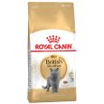 Royal Canin British Shorthair Adult Dry Cat Food