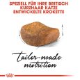 Royal Canin British Shorthair Adult Dry Cat Food