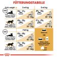 Royal Canin British Shorthair Adult Dry Cat Food