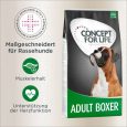 Concept for Life Boxer Adult1