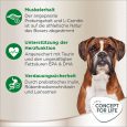 Concept for Life Boxer Adult2