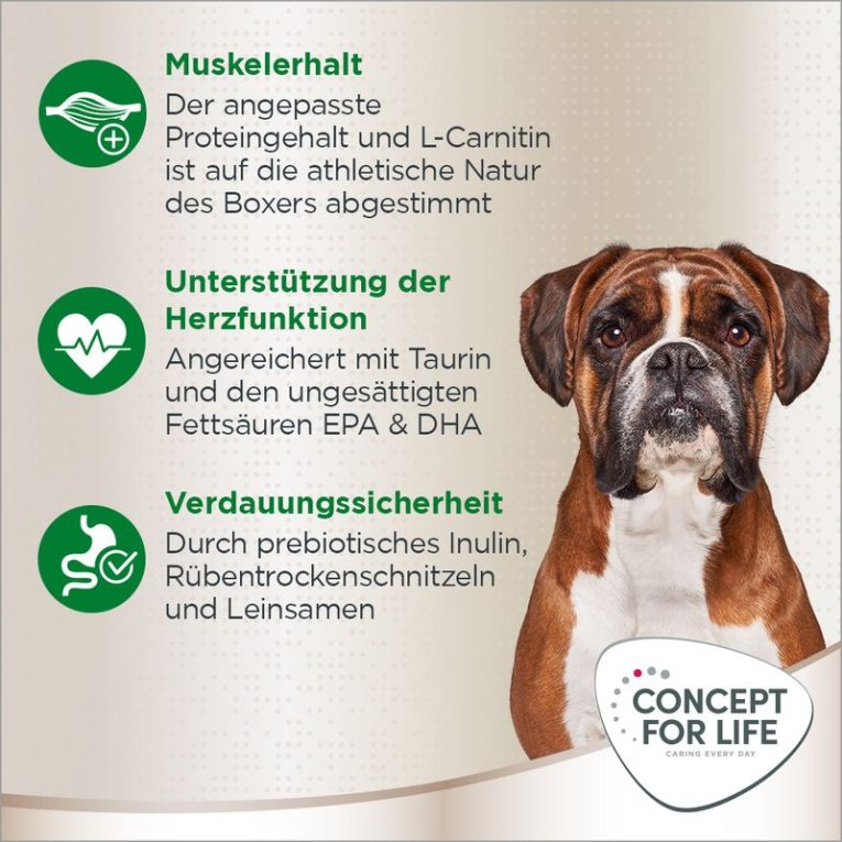 Concept for Life Boxer Adult2