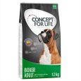 Concept for Life Boxer Adult9