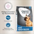 Concept for Life French Bulldog Adult1