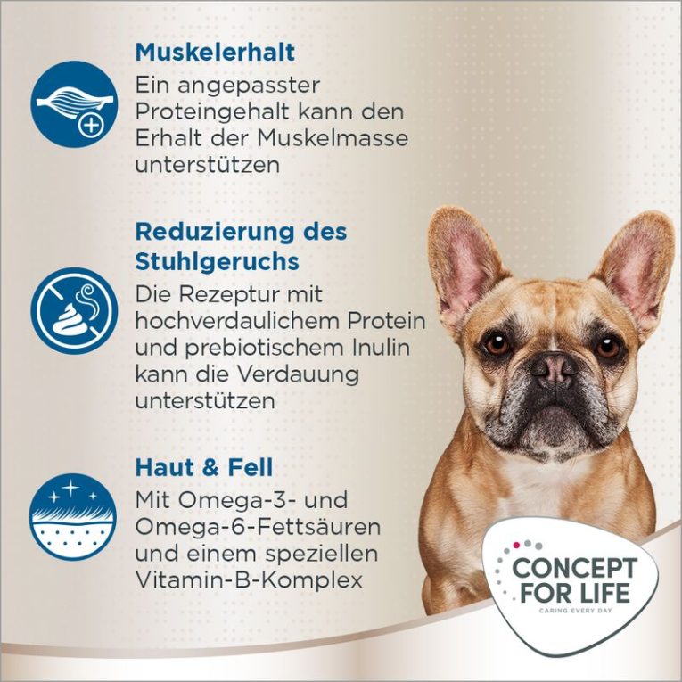 Concept for Life French Bulldog Adult3