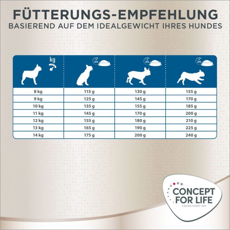 Concept for Life French Bulldog Adult7