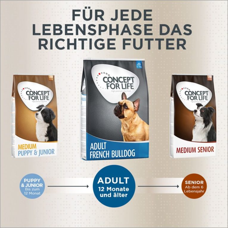 Concept for Life French Bulldog Adult8