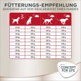 Concept for Life German Shepherd Adult5