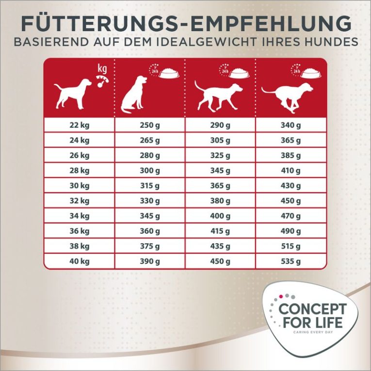 Concept for Life German Shepherd Adult5