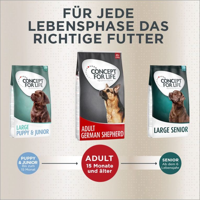 Concept for Life German Shepherd Adult6