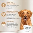 Concept for Life Golden Retriever Adult3