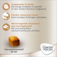 Concept for Life Golden Retriever Adult4