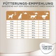 Concept for Life Golden Retriever Adult7