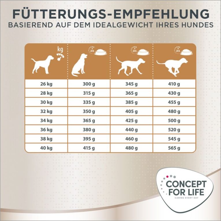 Concept for Life Golden Retriever Adult7