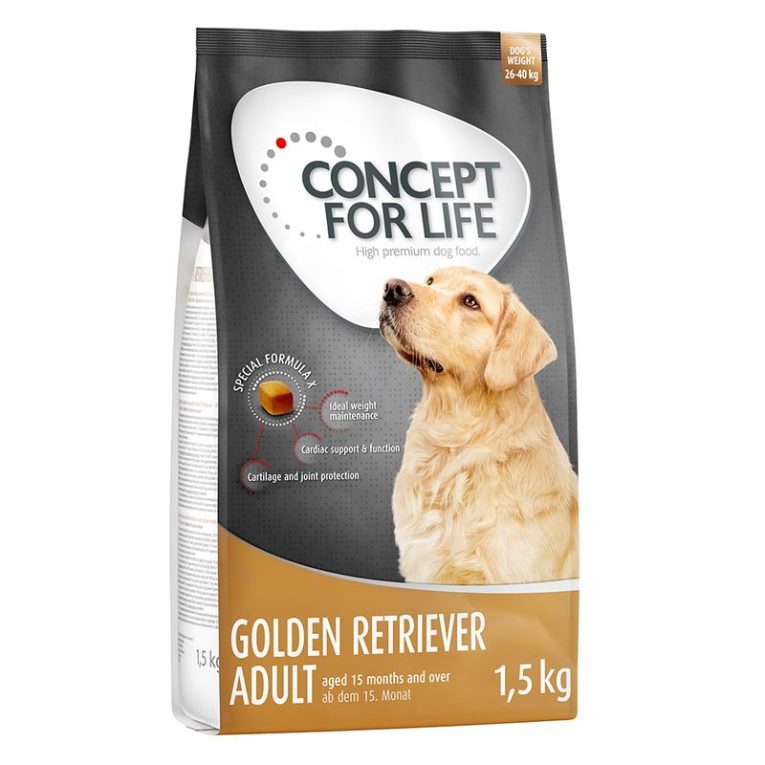 Concept for Life Golden Retriever Adult9