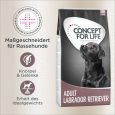 Concept for Life Labrador Retriever Adult1