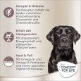 Concept for Life Labrador Retriever Adult2
