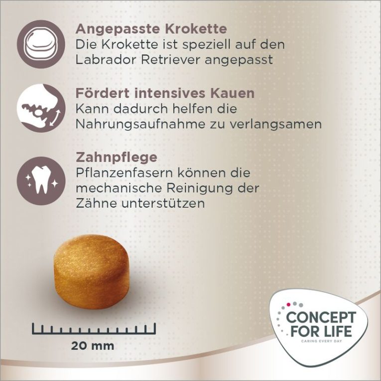 Concept for Life Labrador Retriever Adult3