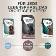 Concept for Life Labrador Retriever Adult7