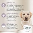 Concept for Life Labrador Sterilised2