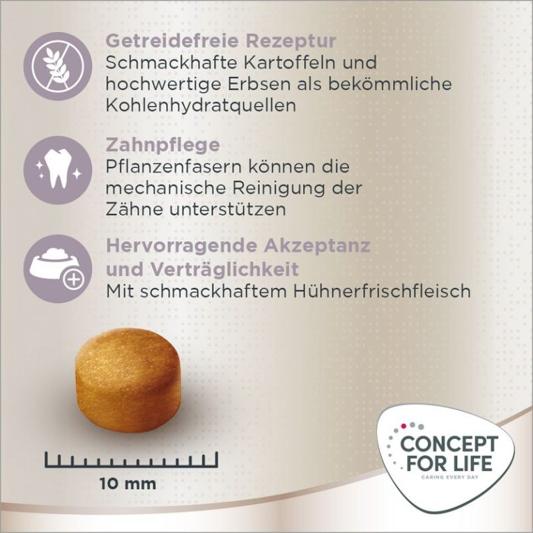Concept for Life Labrador Sterilised3