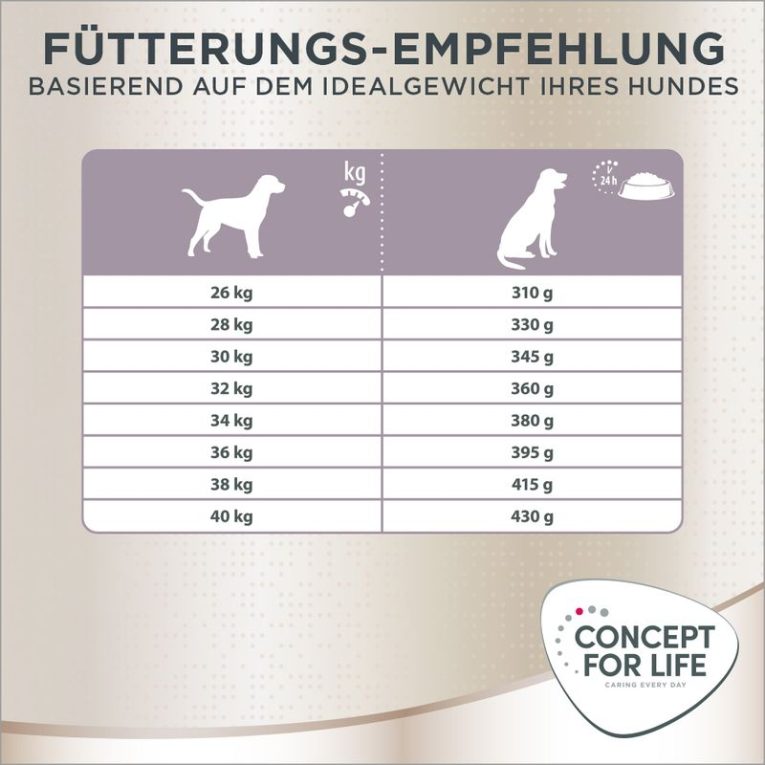 Concept for Life Labrador Sterilized6