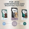 Concept for Life Labrador Sterilized7