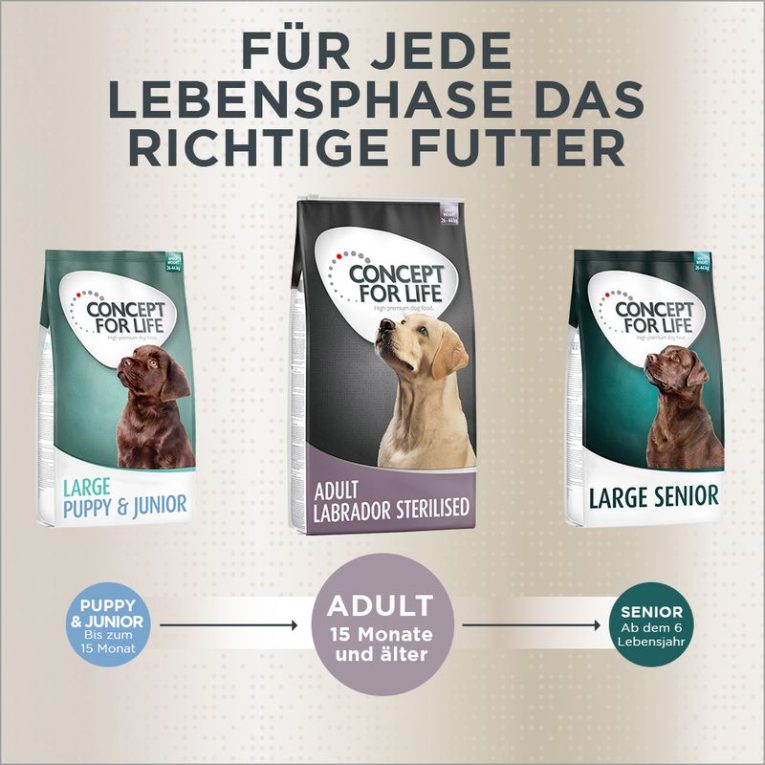 Concept for Life Labrador Sterilized7