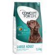 Concept for Life Large Adult2