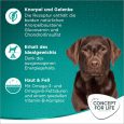 Concept for Life Large Adult3