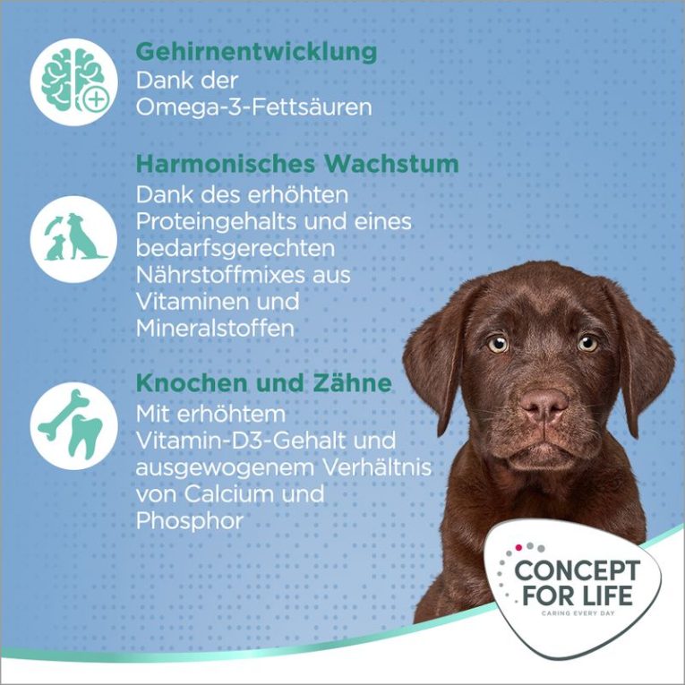 Concept for Life Large Puppy & Junior2