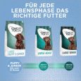 Concept for Life Large Puppy & Junior7