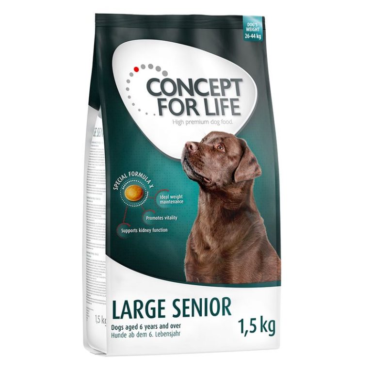 Concept for Life Large Senior2