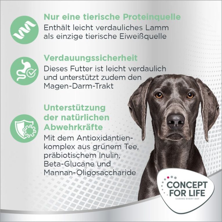 Concept for Life Large Sensitive3