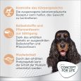 Concept for Life Medium Light2