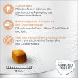 Concept for Life Medium Light3