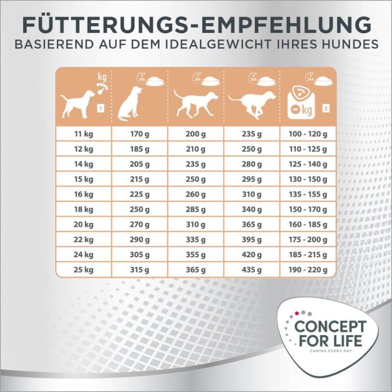 Concept for Life Medium Light6
