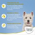 Concept for Life Mini Puppy & Junior2
