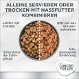 Concept for Life Veterinary Diet Renal Dog Food5