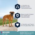 Eukanuba Adult Breed Specific Boxer2