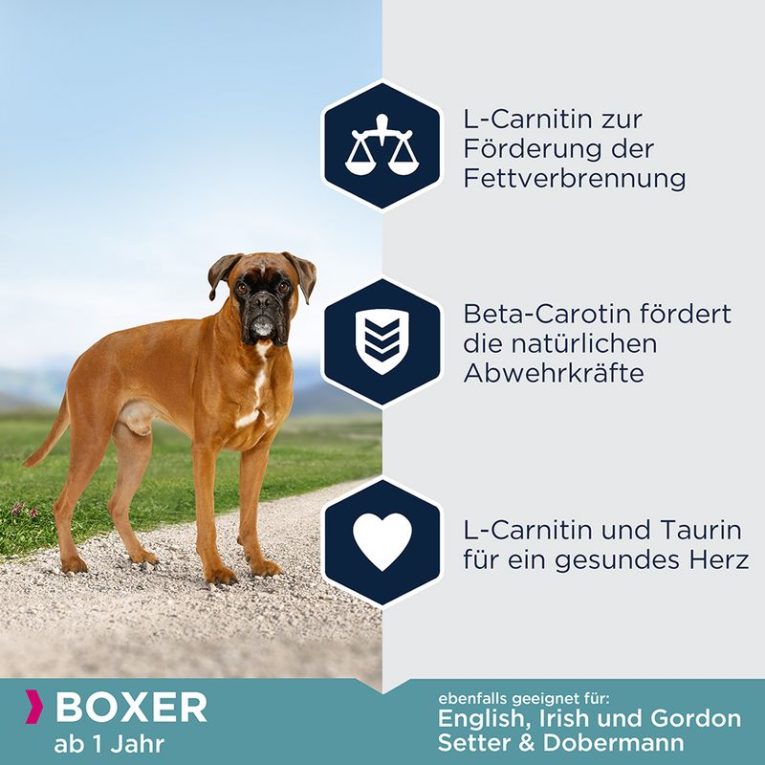 Eukanuba Adult Breed Specific Boxer2