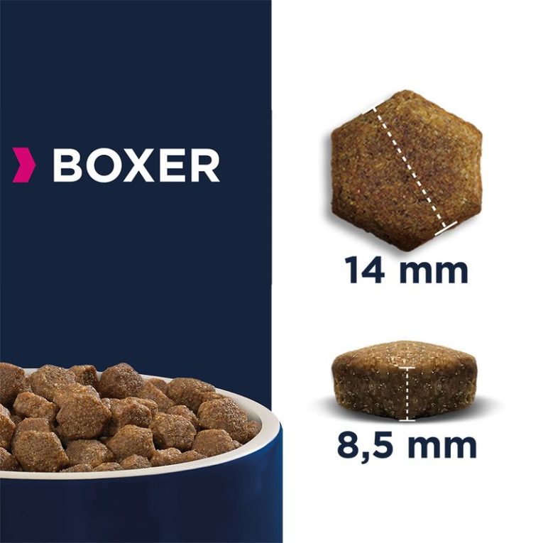 Eukanuba Adult Breed Specific Boxer3