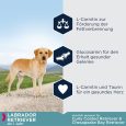 Eukanuba Adult Breed Specific Labrador Retriever1