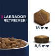 Eukanuba Adult Breed Specific Labrador Retriever2