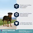 Eukanuba Adult Breed Specific Rottweiler1
