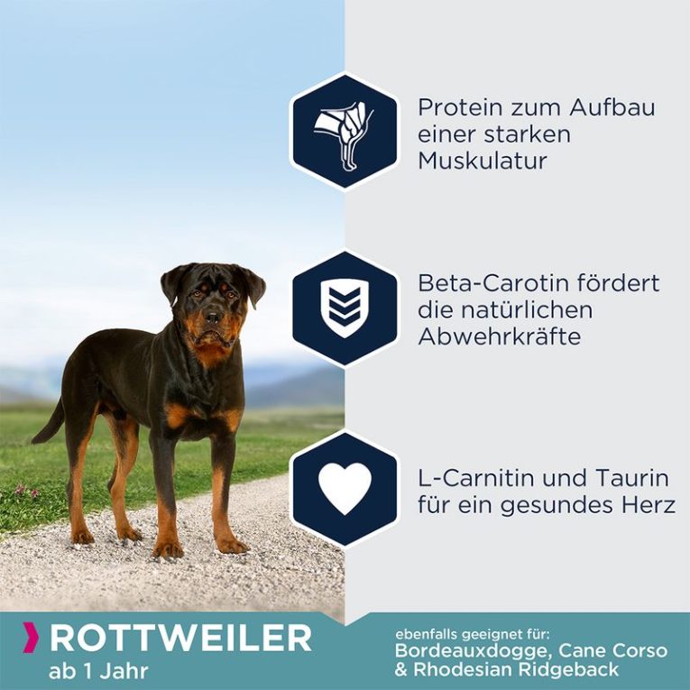 Eukanuba Adult Breed Specific Rottweiler1