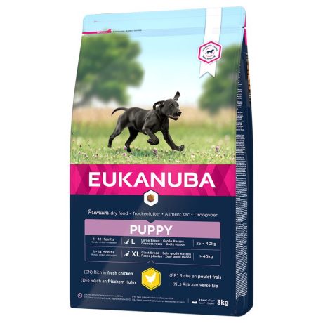 Eukanuba Adult Large Breed Chicken