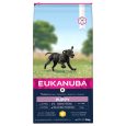 Eukanuba Adult Large Breed Chicken1