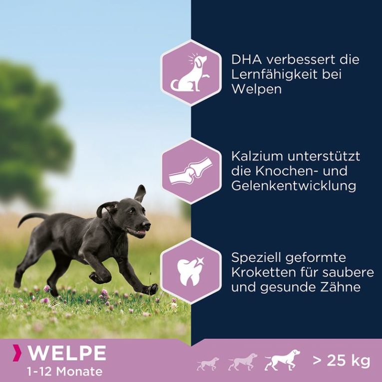 Eukanuba Adult Large Breed Chicken3