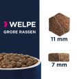 Eukanuba Adult Large Breed Chicken4